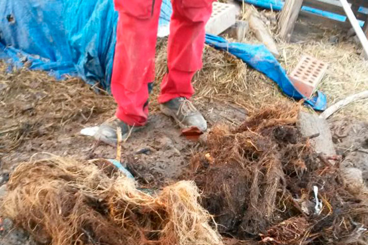 Eliminación de raices en tuberías mediante tobera especial giratoria