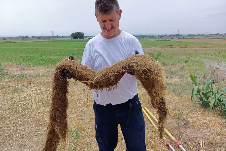 Eliminación de raices en tuberías mediante tobera especial giratoria